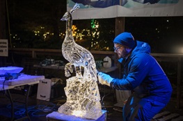 Ice Jubilee Added to Bronx Zoo Holiday Lights